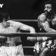 Apollo Creed