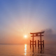 Shirahige Shrine