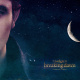 The Twilight Saga: Breaking Dawn Part 2