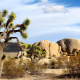 Mojave Desert