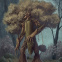 Fangorn Forest