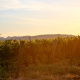 Mayacamas Mountains