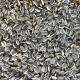 Sunflower Seeds