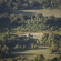 Bale Mountain Lodge
