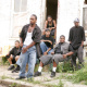 Barksdale Organization
