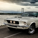Shelby GT350