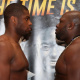 Bob Sapp