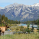 Athabasca River