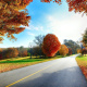 Autumn road