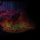 Occultist