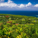 Maui