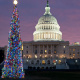 Capitol Christmas Tree
