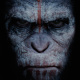 Dawn of the Planet of the Apes
