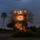 Xigera Baobab Treehouse
