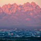 Organ Mountains