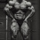 Chris Bumstead