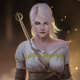 The Witcher 3 Wild Hunt