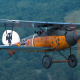 Albatros D.III