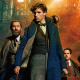 Newt Scamander