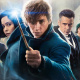 Fantastic Beasts