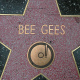 Hollywood Walk of Fame