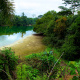 Ivindo National Park