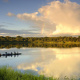 Yasuni National Park