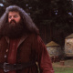 Hagrid's Hut