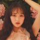 Cheng Xiao