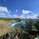 Bird Island