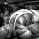 Ronnie Coleman