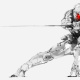Gray Fox