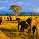 Mikumi National Park