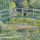 Lily Pond