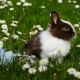Easter