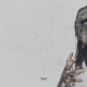 Jay Weinberg