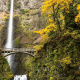 Multnomah Falls