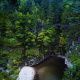 White Mountain National Forest