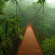 Monteverde Cloud Forest Reserve