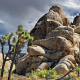 Joshua Tree National Park