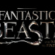 Fantastic Beasts and Where to Find Them
