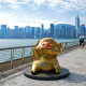 McDull
