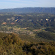 Vaucluse