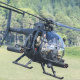 US Army