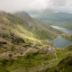 Pyg Track