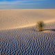 New Mexico