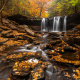 Ricketts Glen State Park