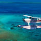 Cessna 206