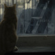 Ulysses