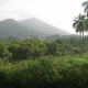 Bioko